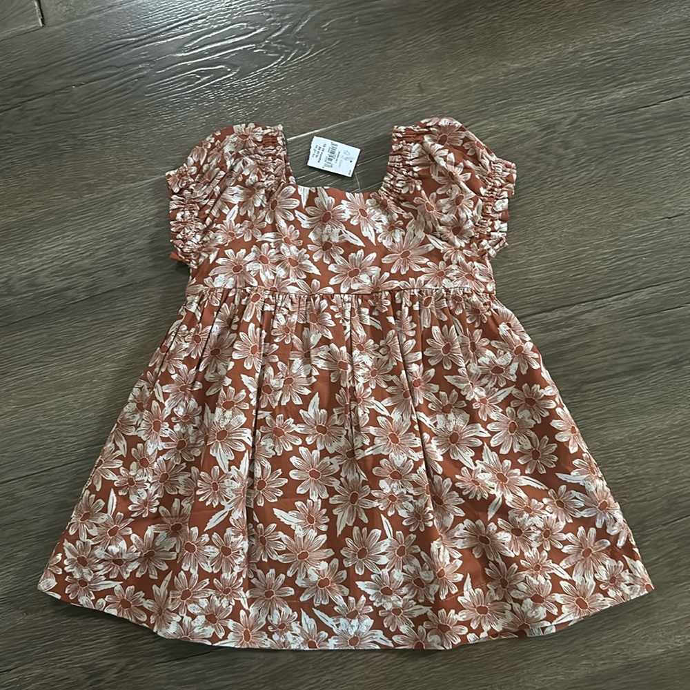 Baby Gap Floral Dress